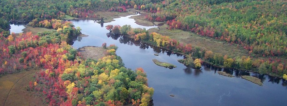 North Maine Woods Estuary